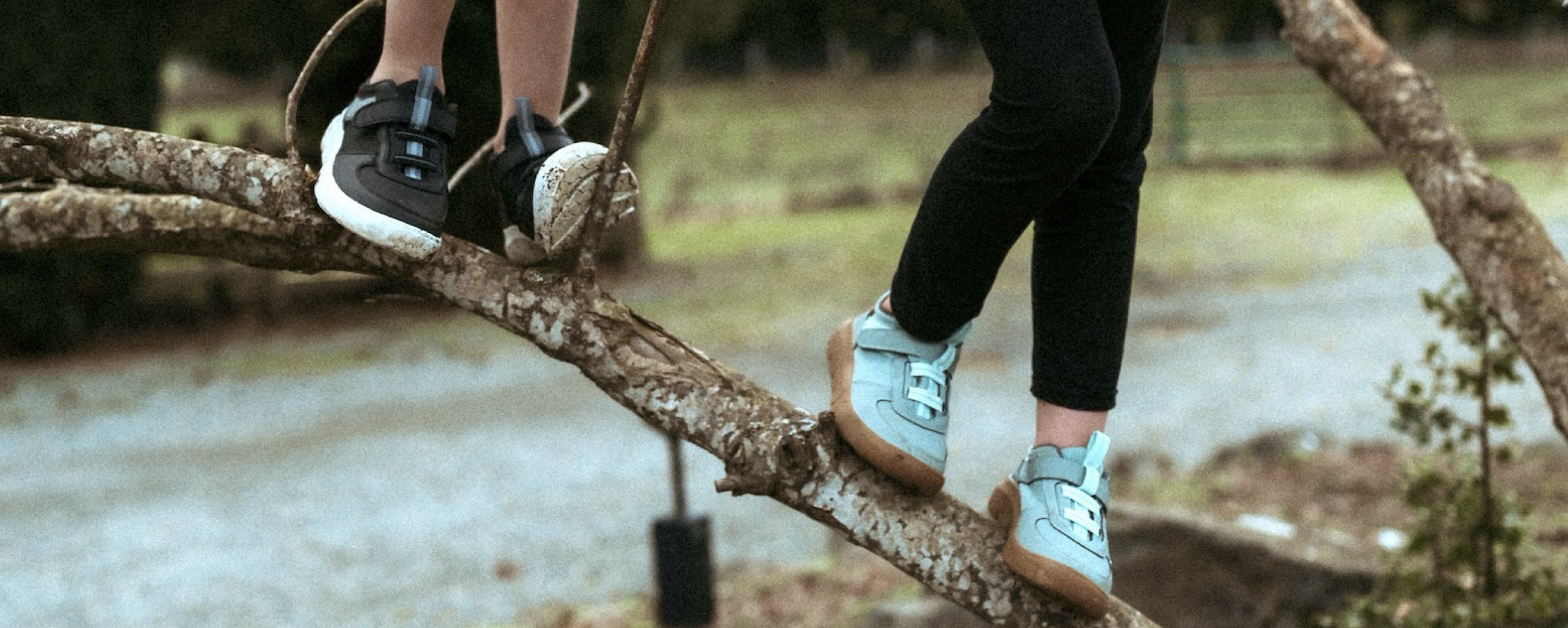 Shop the kid's Skyline Kicker featuring kids climbing a tree.