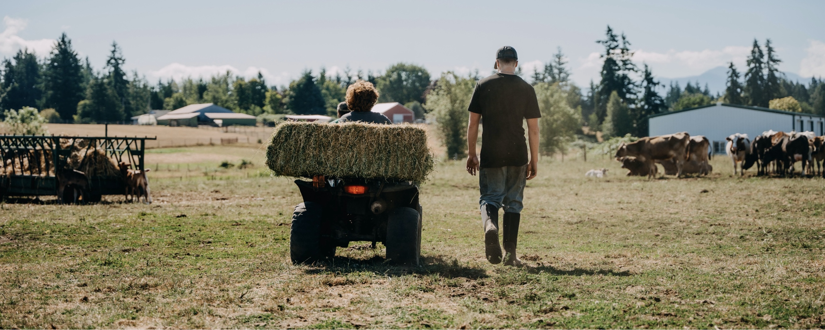 Shop men's work boots featuring a four wheeler in a field.