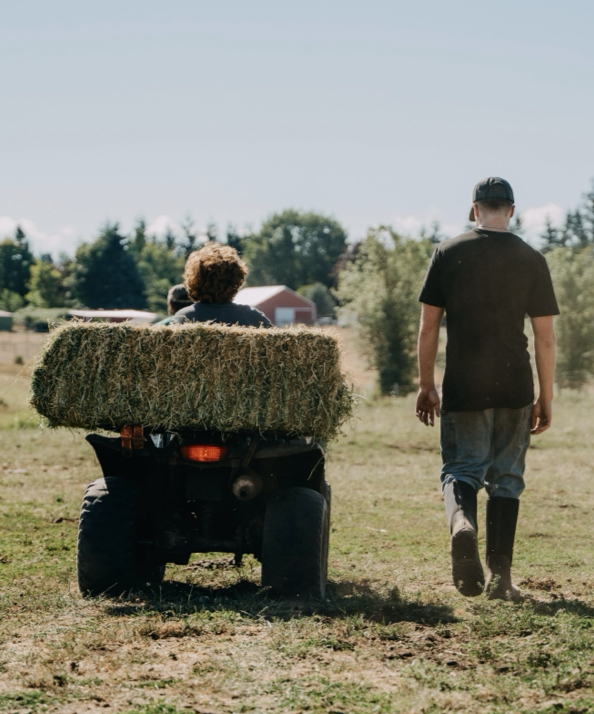Shop men's work boots featuring a four wheeler in a field.