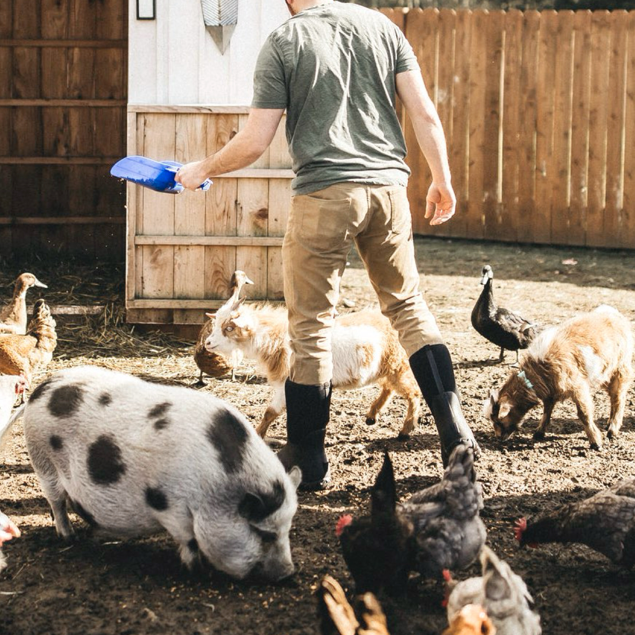 Shop the men's Workman Tall featuring a man in a pen with various farm animals.