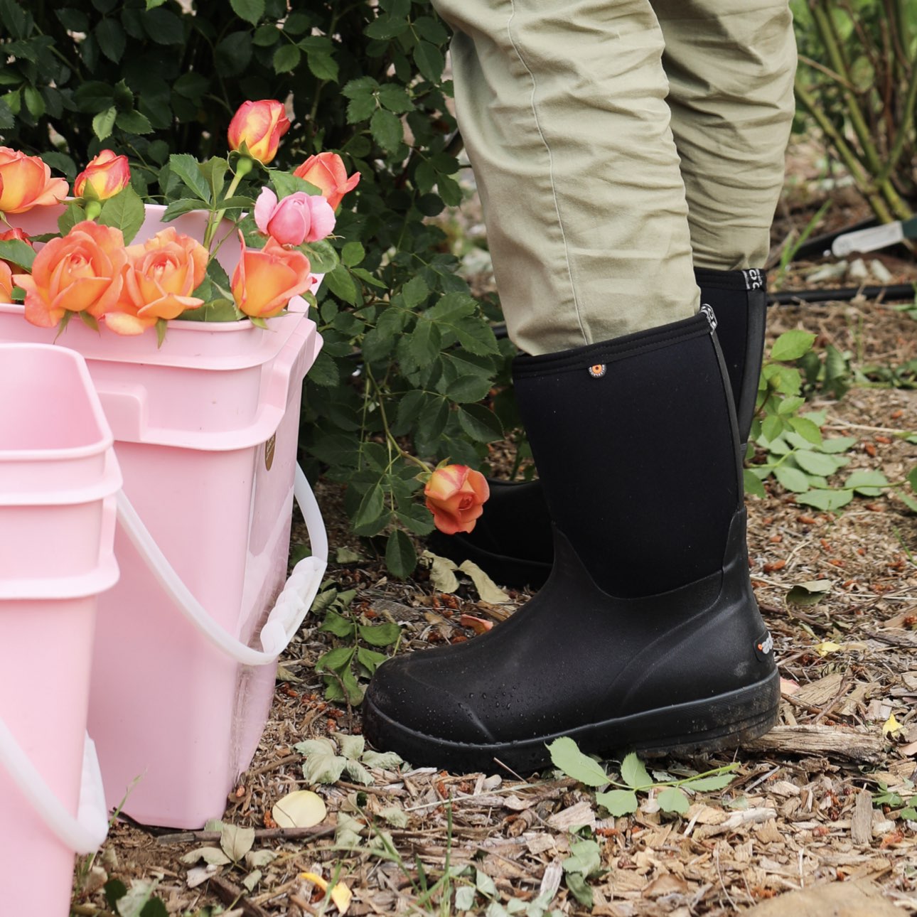 Click to shop the women's Classic II mid featuring the style next to a rose bush.