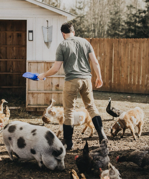 A man feeding his farm animals in his backyard.  Shop our Men's Workman boots in black