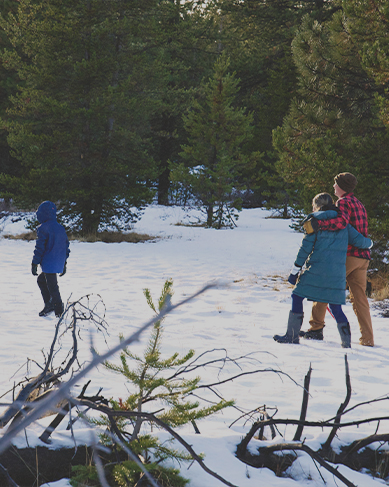 Shop our seamless styles featuring a family walking in the snow. 