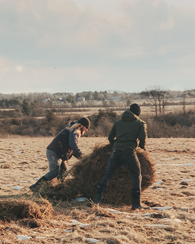 Shop men's winter boots featuring 2 men in a cow pasture.