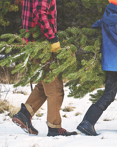 Shop 25% off sitewide featuring a family carrying an evergreen.