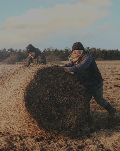 Shop our essentials for cold weather featuring 2 men rolling a haybale. 