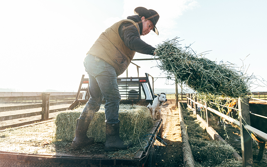 Image features a man sweeping dust and                leaves off the back of a truckbed while wearing BOGS Classic Seamless boots in black.