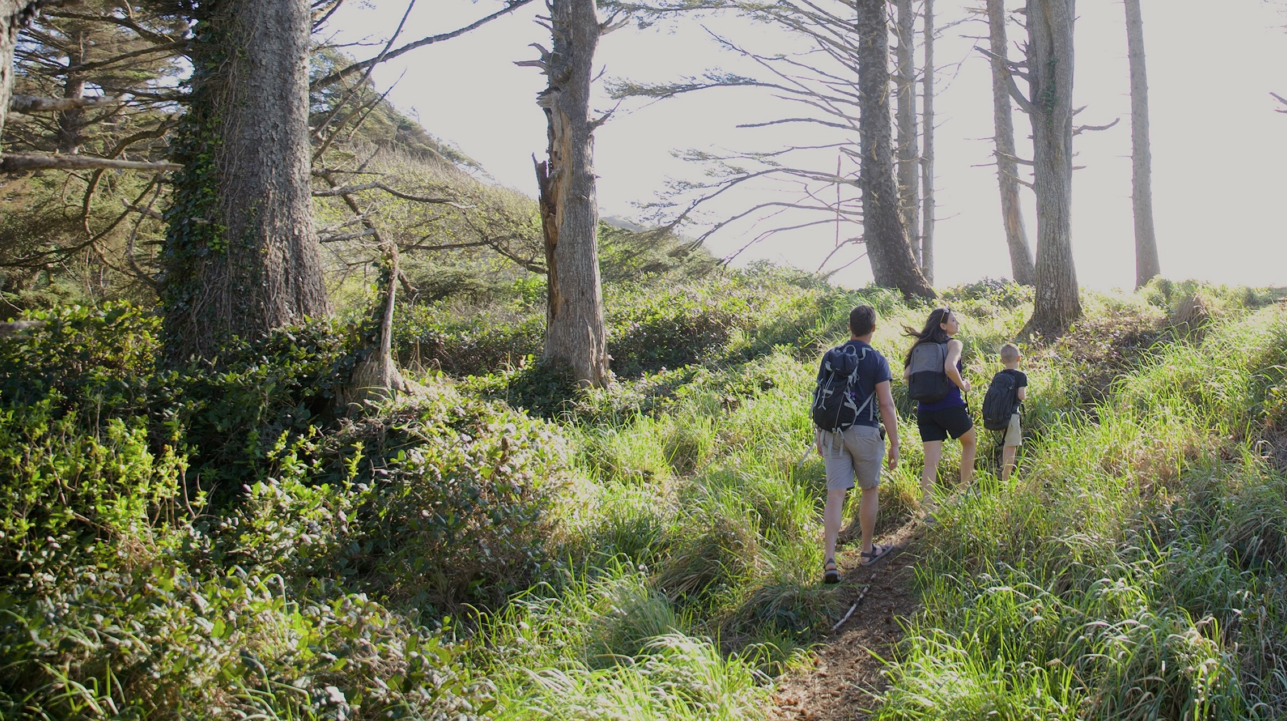 Shop our Summer Sale featuring a family walking through the woods.