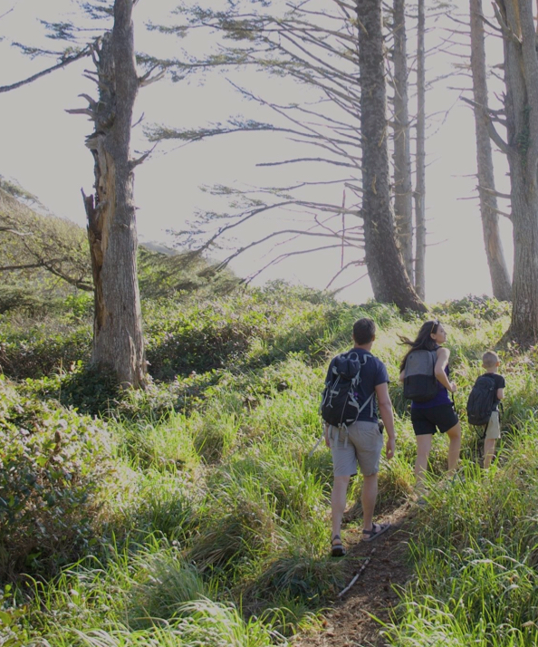 Shop our Summer Sale featuring a family walking through the woods.