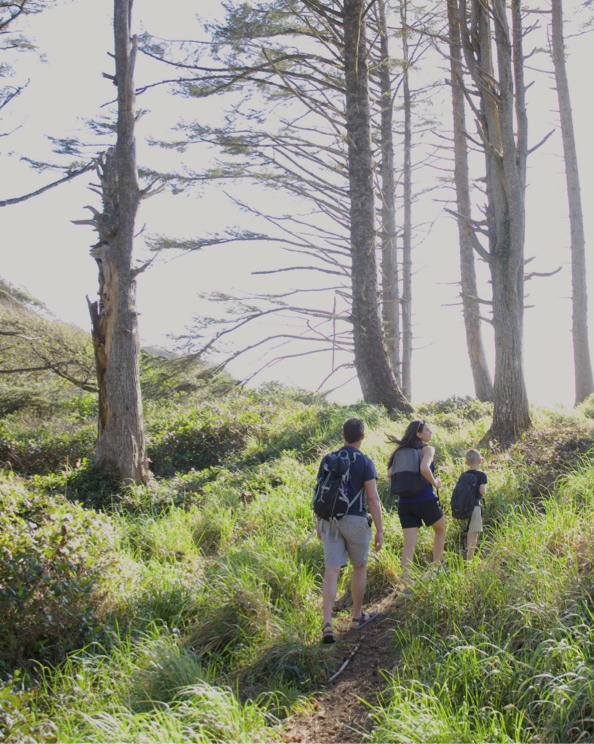 Shop our Summer Sale featuring a family walking through the woods.