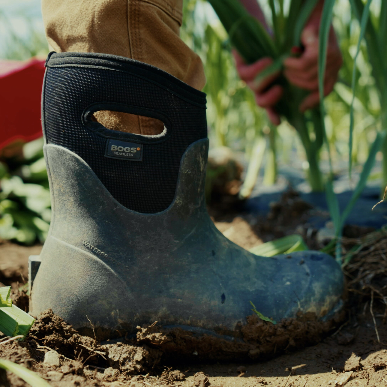 Shop our Men’s Workman mid work boots.