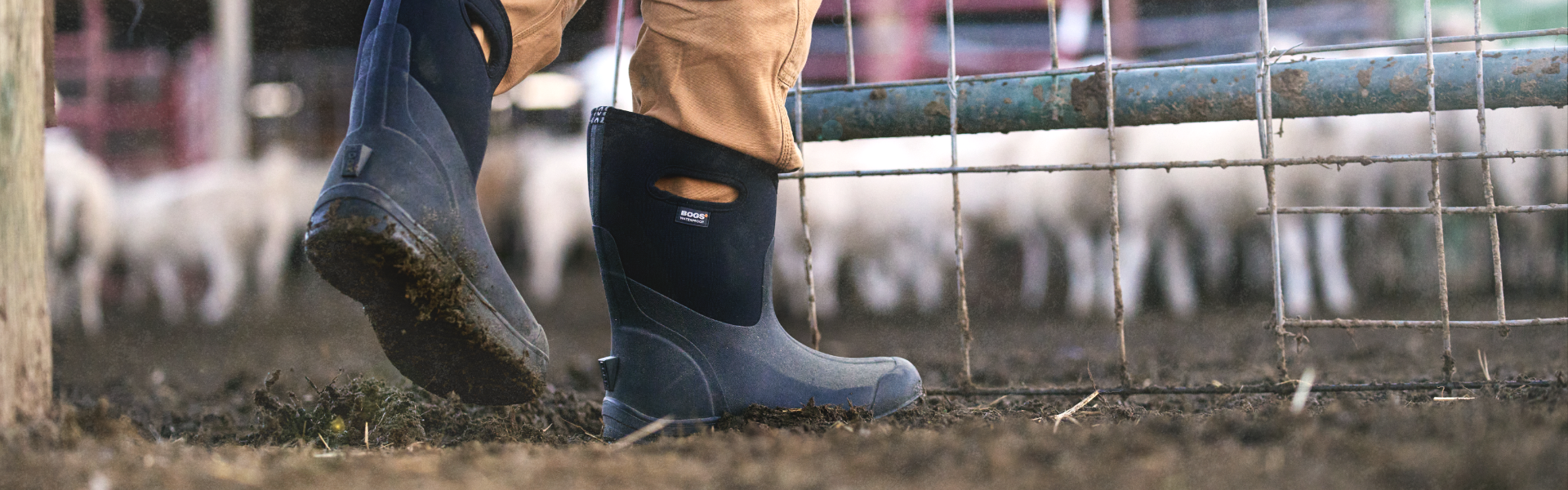 Image features a man and a woman in a pen with sheep wearing Bogs.