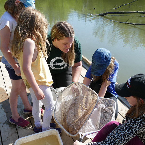 Learn more about Rideau Valley Conservation Authority.  A previous BOGS° Outdoor Education grant winner.